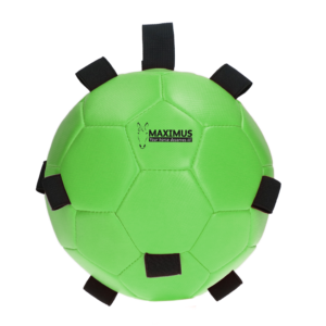 Maximus - Fun Play Ball