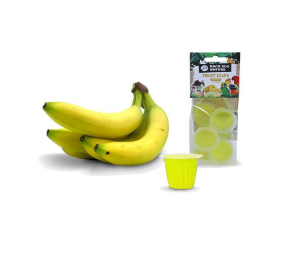 Back zoo nature - Fruitkuipjes Banaan, 6 stuks