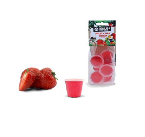 Back zoo nature - Fruitkuipjes Aardbei, 6 stuks