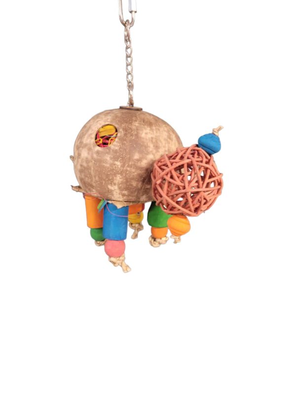 Deluxe - Coconut Turtle - Afbeelding 2