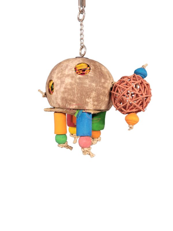 Deluxe - Coconut Turtle