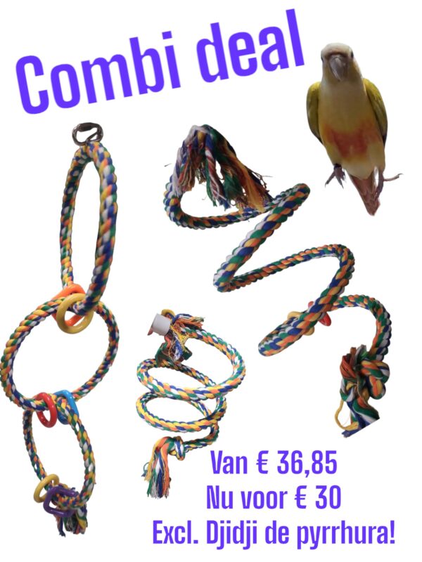 Combi deal - duvo speelschommels