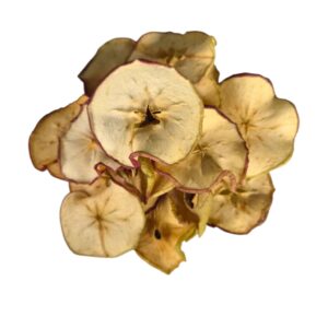 BYoshi - Gedroogde appelringen